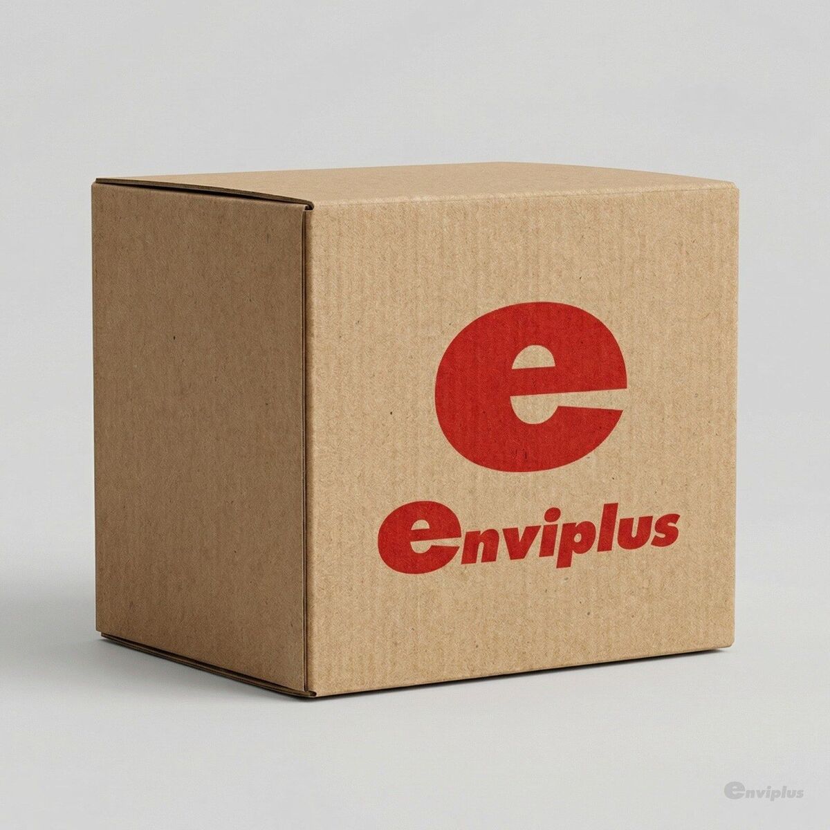 Caja de cartón con logo Enviplus